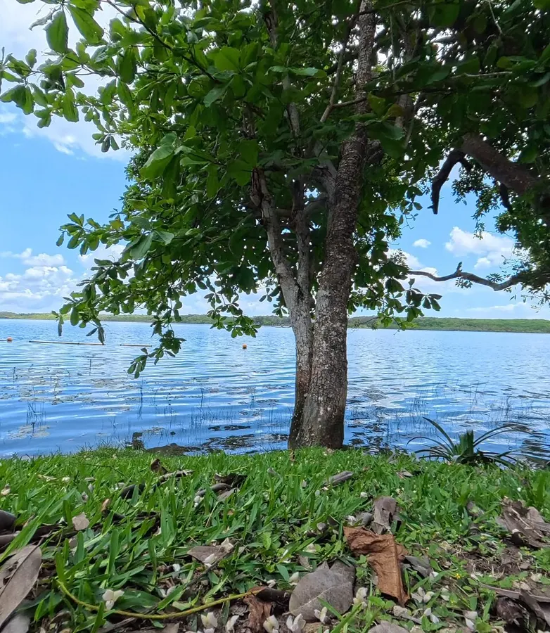Bacalar 'Lagoon of Seven Colors' Day Trip