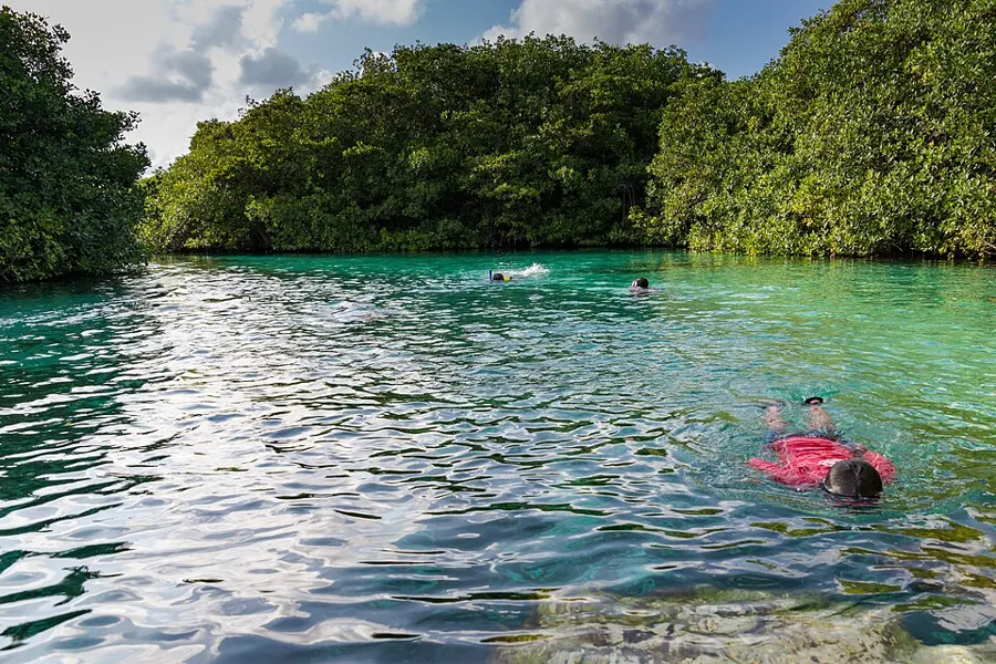 Cenote Snorkeling Tour (Dos Ojos & Casa Cenote)