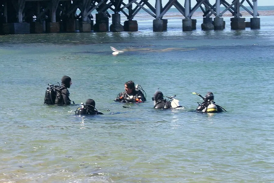 Discover Scuba Diving (Beginner Intro)