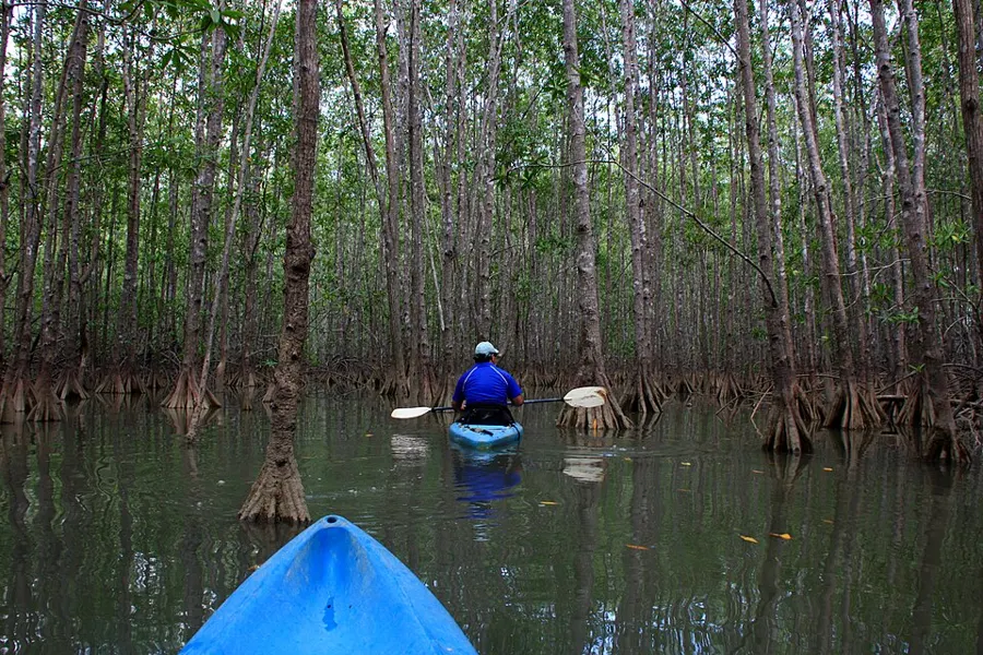 Guided Sea Kayak Tour
