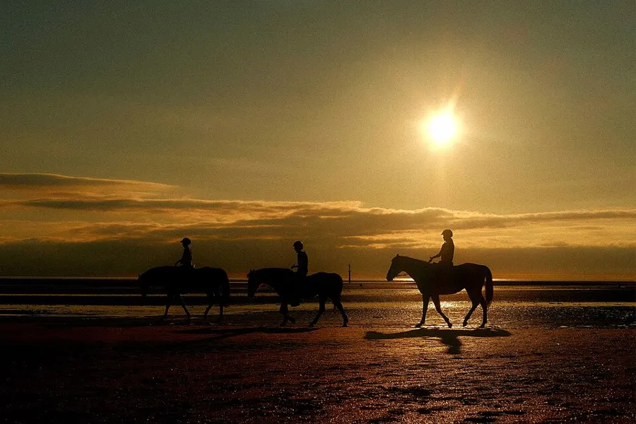 Horseback Riding (Beach + Jungle)