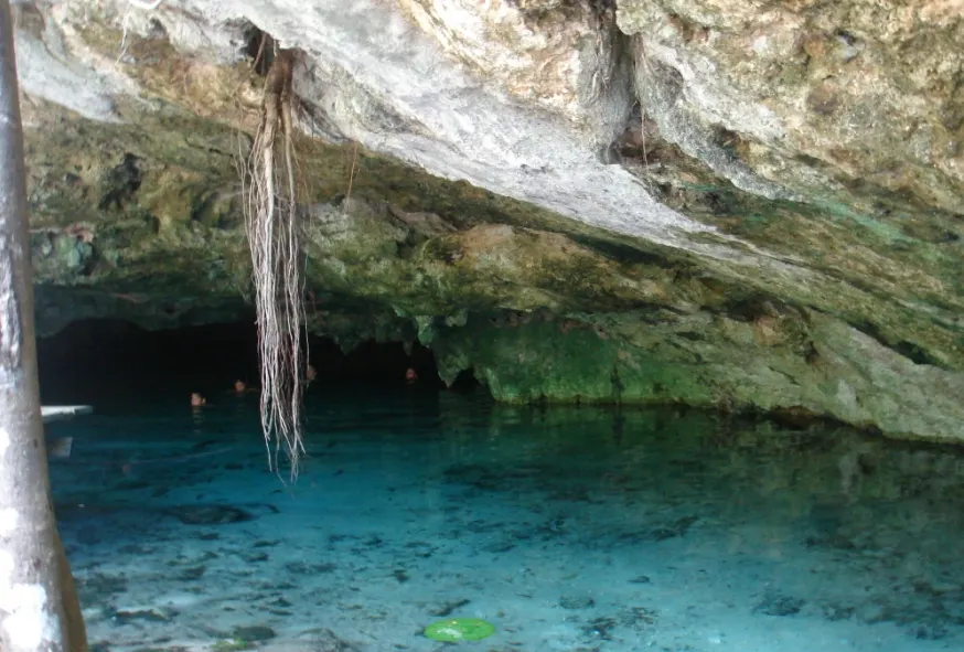 Puerto Morelos & Ruta de los Cenotes Half-Day