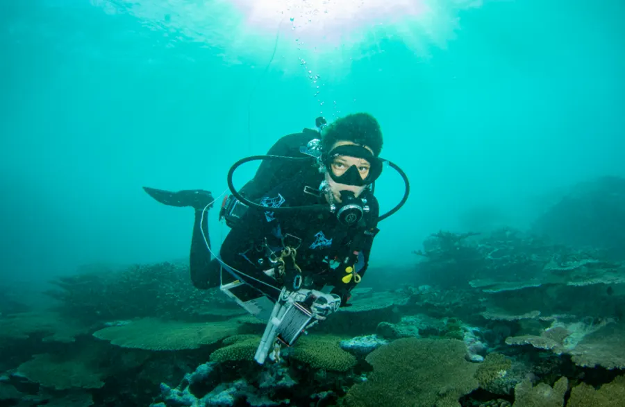 2-Tank Reef Dive (Certified Divers)