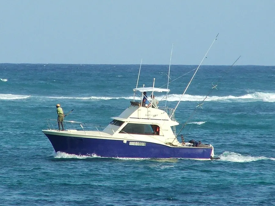 Fishing Charters