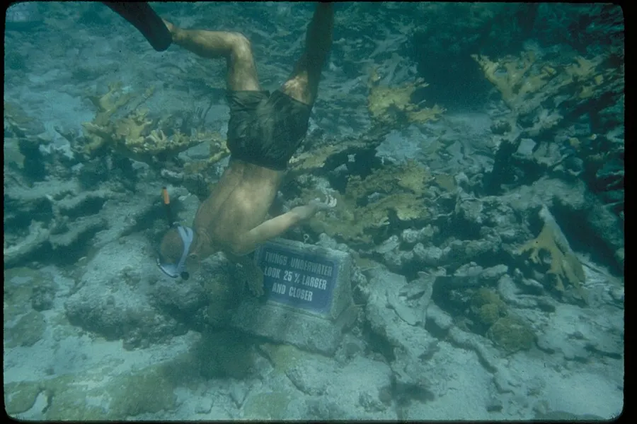 Snorkeling